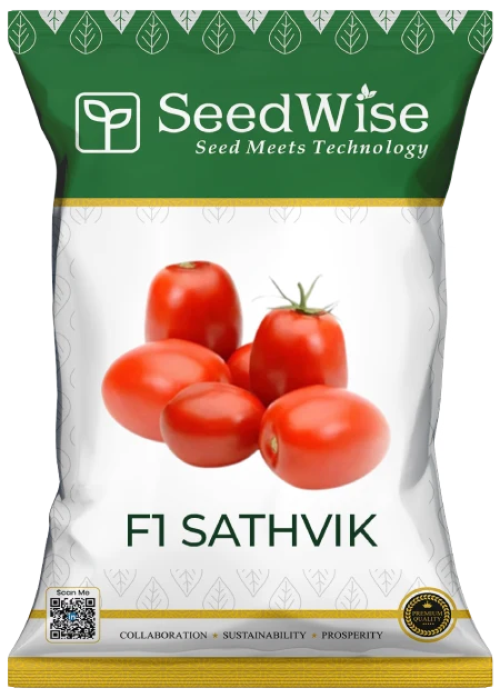 F1 SATHVIK Determinant Tomato